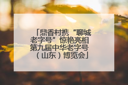 鼎香村携“聊城老字号”惊艳亮相第九届中华老字号（山东）博览会