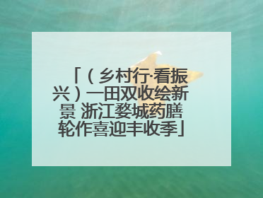 （乡村行·看振兴）一田双收绘新景 浙江婺城药膳轮作喜迎丰收季