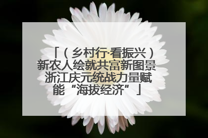 （乡村行·看振兴）新农人绘就共富新图景 浙江庆元统战力量赋能“海拔经济”
