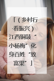 （乡村行·看振兴）江西铜鼓“小杨梅”化身百姓“致富果”