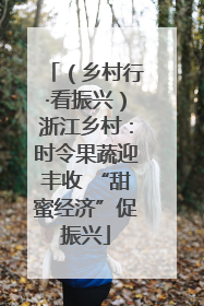 （乡村行·看振兴）浙江乡村：时令果蔬迎丰收 “甜蜜经济”促振兴