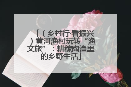 （乡村行·看振兴）黄河渔村玩转“渔文旅”：耕稼陶渔里的乡野生活