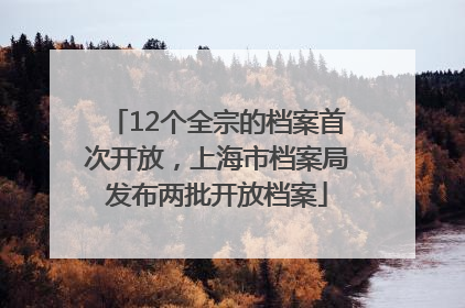 12个全宗的档案首次开放，上海市档案局发布两批开放档案