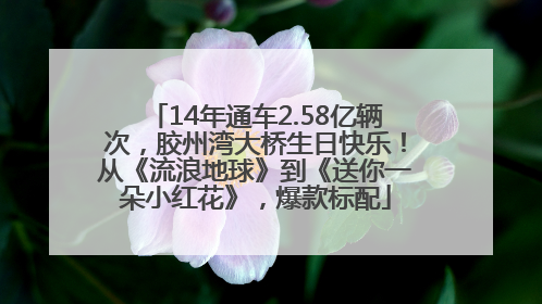 14年通车2.58亿辆次，胶州湾大桥生日快乐！从《流浪地球》到《送你一朵小红花》，爆款标配