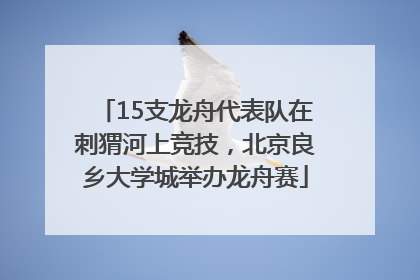 15支龙舟代表队在刺猬河上竞技，北京良乡大学城举办龙舟赛