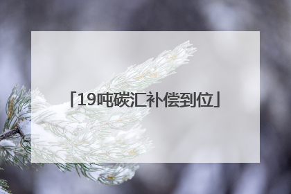 19吨碳汇补偿到位