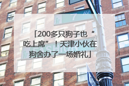 200多只狗子也“吃上席”！天津小伙在狗舍办了一场婚礼