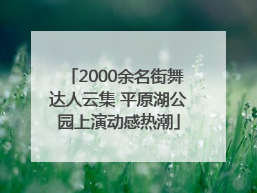 2000余名街舞达人云集 平原湖公园上演动感热潮