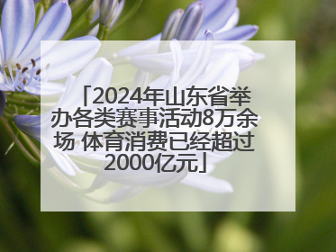 2024年山东省举办各类赛事活动8万余场 体育消费已经超过2000亿元