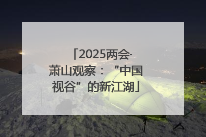2025两会·萧山观察：“中国视谷”的新江湖