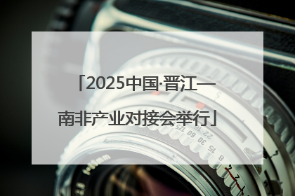 2025中国·晋江—南非产业对接会举行