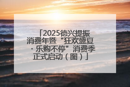 2025德兴提振消费年暨“狂欢盛夏・乐购不停”消费季正式启动（图）