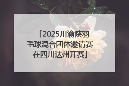 2025川渝陕羽毛球混合团体邀请赛在四川达州开赛
