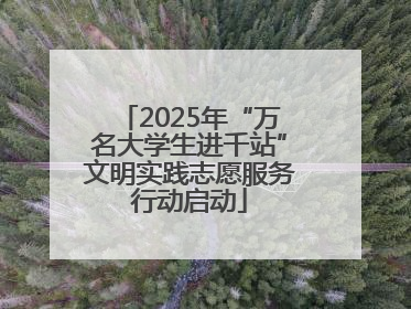 2025年“万名大学生进千站”文明实践志愿服务行动启动