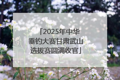 2025年中华垂钓大赛甘肃武山选拔赛圆满收官