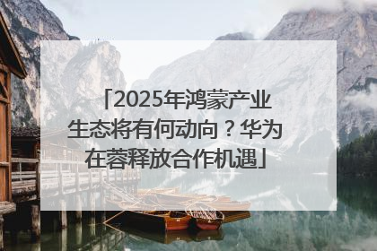 2025年鸿蒙产业生态将有何动向？华为在蓉释放合作机遇