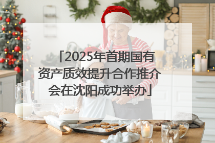 2025年首期国有资产质效提升合作推介会在沈阳成功举办