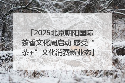 2025北京朝阳国际茶香文化周启动 感受“茶+”文化消费新业态