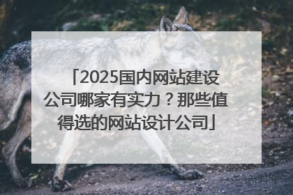 2025国内网站建设公司哪家有实力？那些值得选的网站设计公司