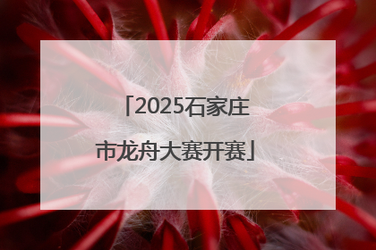 2025石家庄市龙舟大赛开赛