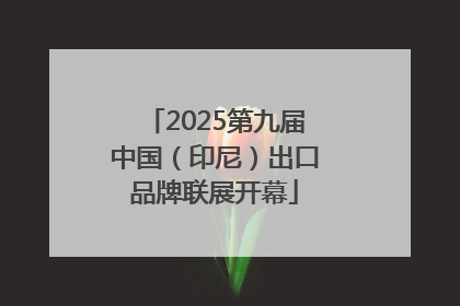 2025第九届中国（印尼）出口品牌联展开幕
