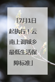 7月1日起执行！云南上调城乡最低生活保障标准