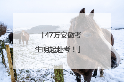 47万安徽考生明起赴考！