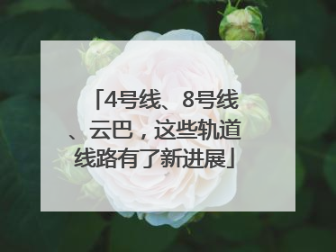 4号线、8号线、云巴，这些轨道线路有了新进展