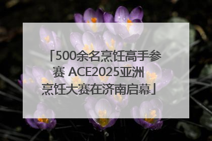 500余名烹饪高手参赛 ACE2025亚洲烹饪大赛在济南启幕