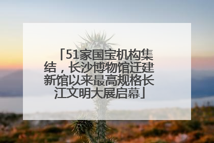 51家国宝机构集结，长沙博物馆迁建新馆以来最高规格长江文明大展启幕