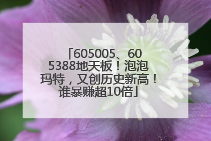 605005、605388地天板！泡泡玛特，又创历史新高！谁暴赚超10倍