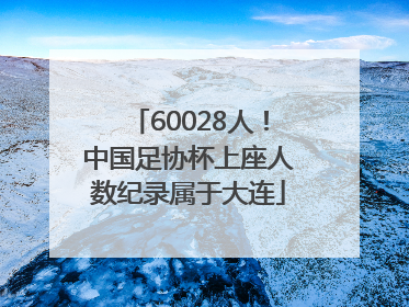 60028人！中国足协杯上座人数纪录属于大连