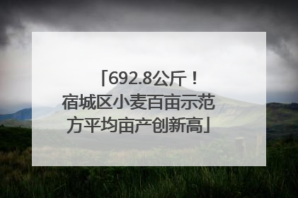 692.8公斤！宿城区小麦百亩示范方平均亩产创新高