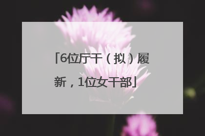 6位厅干（拟）履新，1位女干部