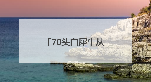 70头白犀牛从南非运抵卢旺达