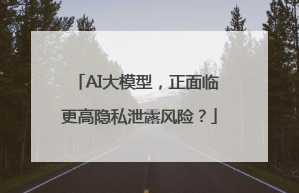 AI大模型，正面临更高隐私泄露风险？